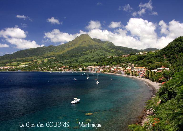 Lodge Colibris Piscine Privee Vue Panoramique Mer Et Montagne Pelee , 500 M Plage Dans Un Parc , Calme Assure Ideal Pour Decouvrir Le Nord Caraibes Le Carbet Buitenkant foto
