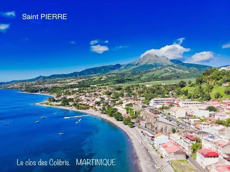Lodge Colibris Piscine Privee Vue Panoramique Mer Et Montagne Pelee , 500 M Plage Dans Un Parc , Calme Assure Ideal Pour Decouvrir Le Nord Caraibes Le Carbet Buitenkant foto